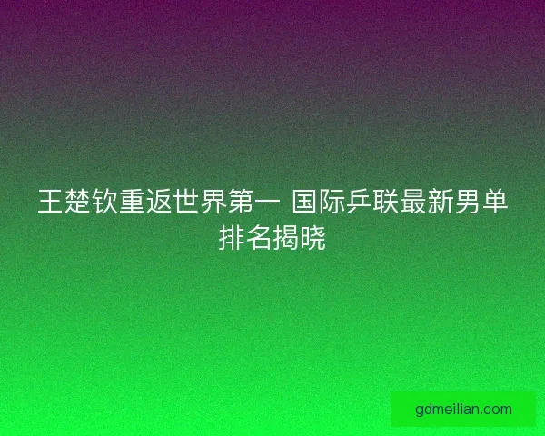 王楚钦重返世界第一 国际乒联最新男单排名揭晓