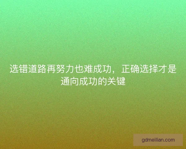 选错道路再努力也难成功,正确选择才是通向成功的关键 选错道路再努力也难成功,正确选择才是通向成功的关键