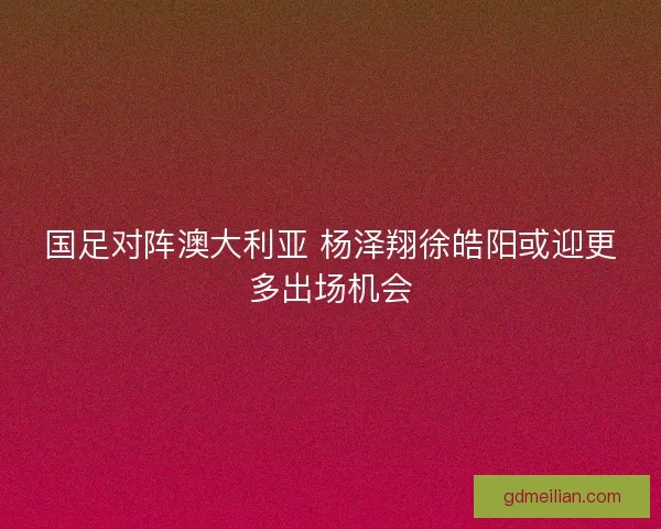 国足对阵澳大利亚 杨泽翔徐皓阳或迎更多出场机会