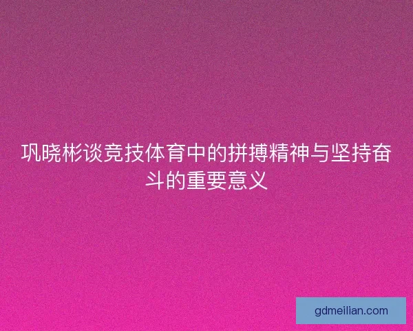 巩晓彬谈竞技体育中的拼搏精神与坚持奋斗的重要意义