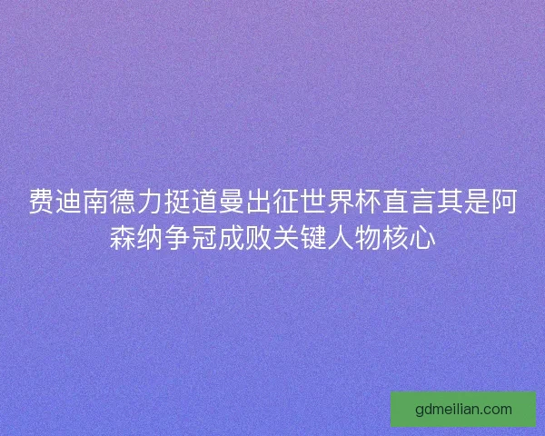 费迪南德力挺道曼出征世界杯直言其是阿森纳争冠成败关键人物核心 费迪南德力挺道曼出征世界杯直言其是阿森纳争冠成败关键人物核心